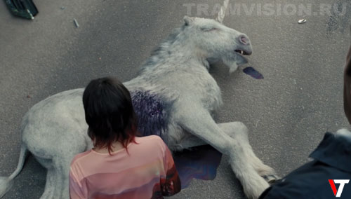 ������ ��������� - ������� � �����