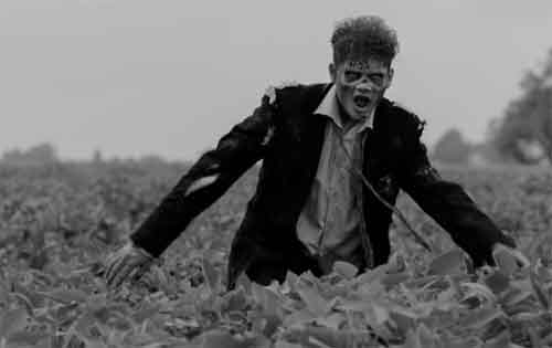 �������� �� �. �������-�����... �� �������